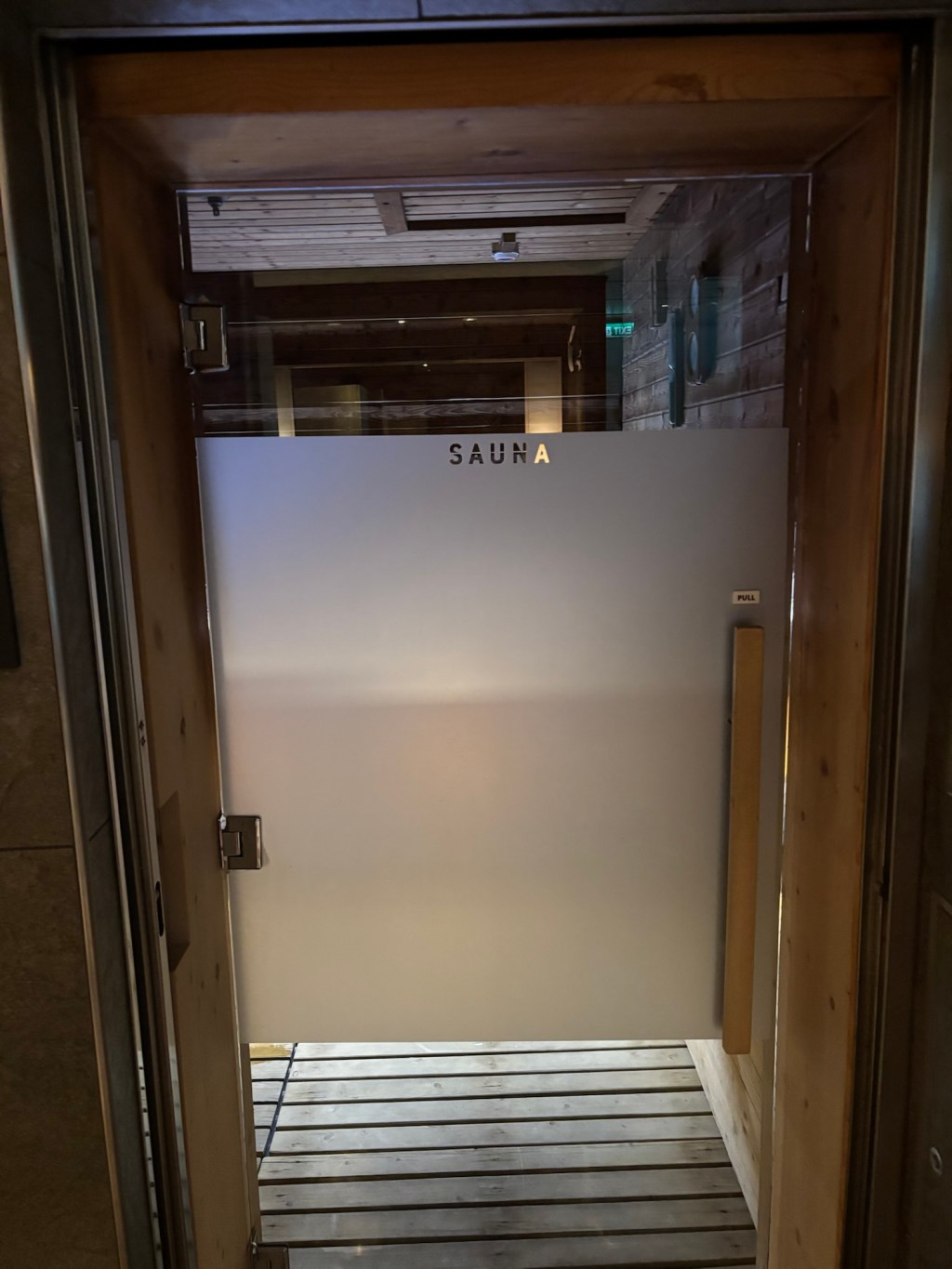 The Astronaut in the sauna